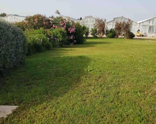 Villaspeciosa Apartamento | Appartamento indipend. vicino Aeroporto Ca/ Elmas