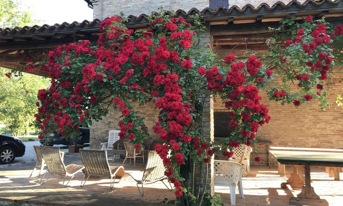 Molino Apolloni Casa | Appartamento "limoni" Immerso nel Verde Delle Colline Marchigiane