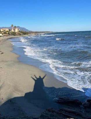 Bravone Apartamento | Appartement 2 pièces bord de mer