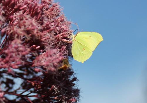 Varel Apartamento | Appartement Mit Wallbox