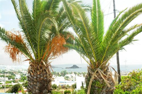 Kefalos Apartamento | Archodia Studios