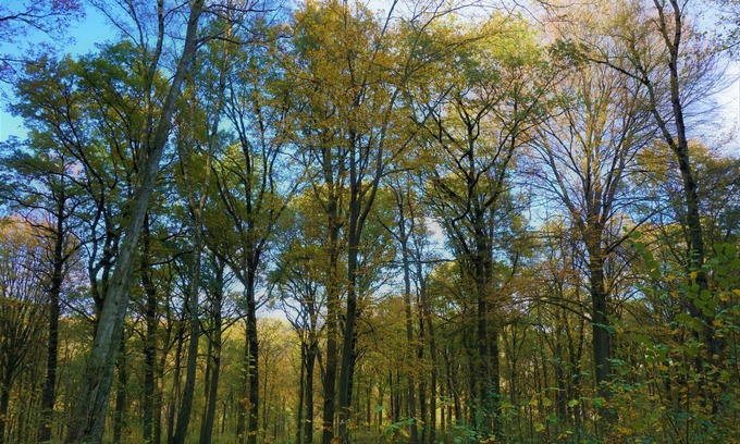 Hastiere-Lavaux Otro | Ardennes : La ferme du crupet 30 persons