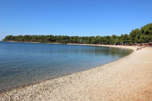 Novigrad Villa | ARIEL A4, quiet area only 2 Km from the beach