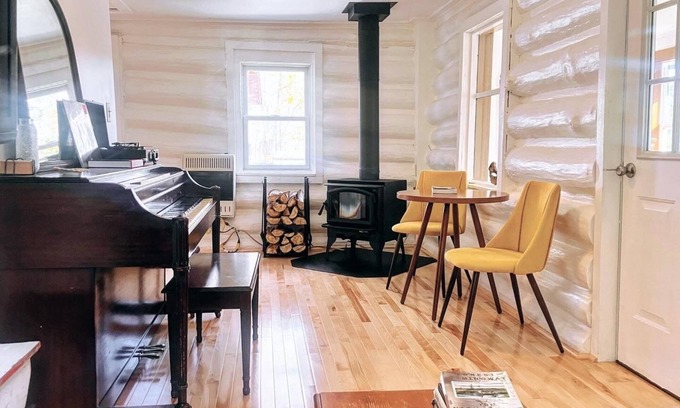 Arkville Cabina | Arkville Chalet—log cabin with wood stove and mountain view