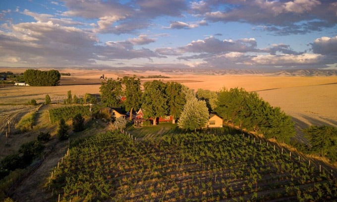 Walla Walla Casa | Armstrong Vineyard Cottage