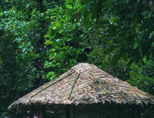 Devikolam Villa | Aruvi Homestay idukki