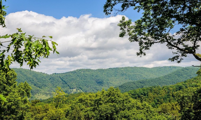 Asheville Cabina | Asheville Lodge-Sleeps 11-21