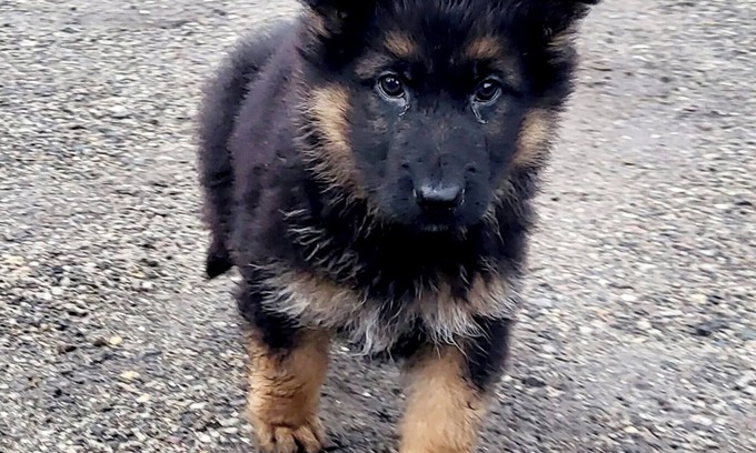 Flamets-Fretils Cama Y Desayuno | ATYPICAL GÎTE/SECLUDED HOUSE