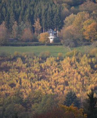 Stavelot Cama Y Desayuno | Au Vieux Mouton