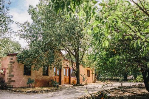 Upper Wakefield Hotel | Auburn Garden Suites