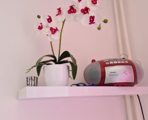 Rijeka Apartamento | Aurora