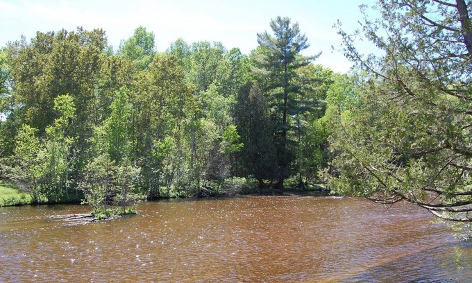 Grayling Cabaña | ¡Nuevo alquiler de vacaciones! The Bear Den - Gran escapada Ausable!