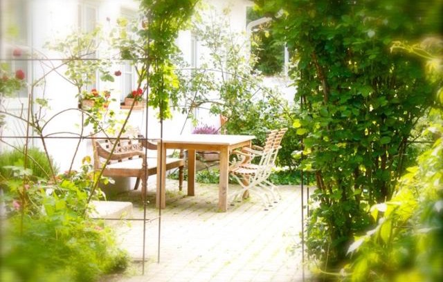 Apetlon Apartamento | Auszeit