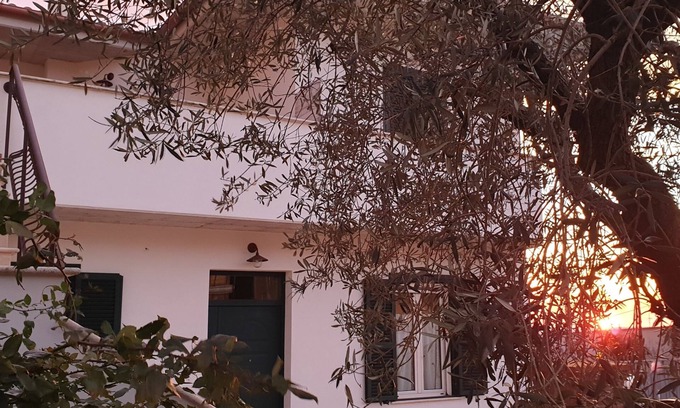 Rocca Massima Cama Y Desayuno | B&B Il Falco e l'Ulivo