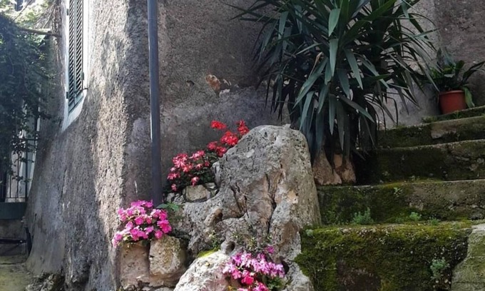 Artena Cama Y Desayuno | B&B Rupe Antica