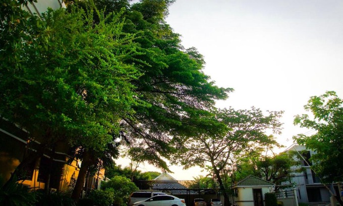 Rangsit Apartamento | Baan Boonanan Apartment