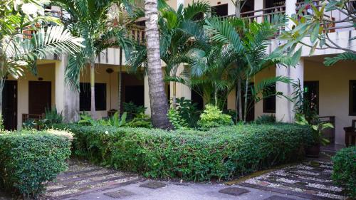 Lamai City Center Hotel | Baan Pitcha บ้านพิชชา