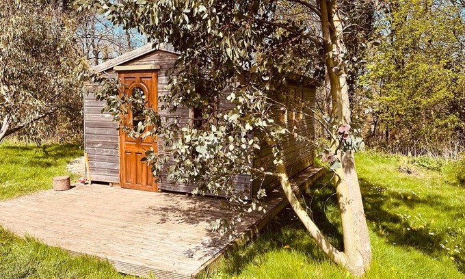 Guisborough Cabina | Baby Moon