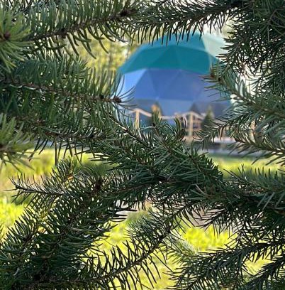 Boelenslaan Otro | Back to Nature