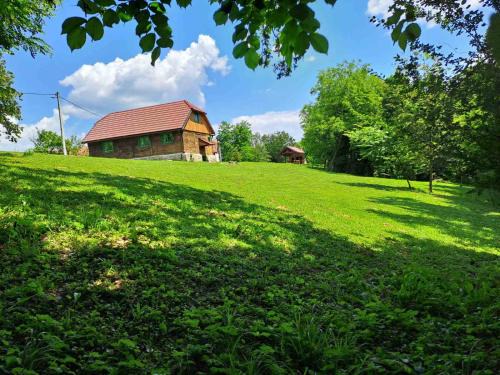 Cvetkovic Chalet De Esquí | Bakina iža