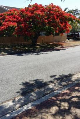 Clontarf Cama Y Desayuno | Baringa Bed & Breakfast