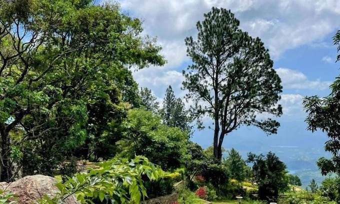 Pathahewaheta Casa | Bawlana Estate - Kandy