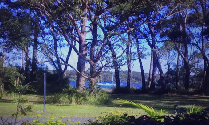 Lemon Tree Passage Casa | Alquiler de vacaciones frente al mar Bayview.