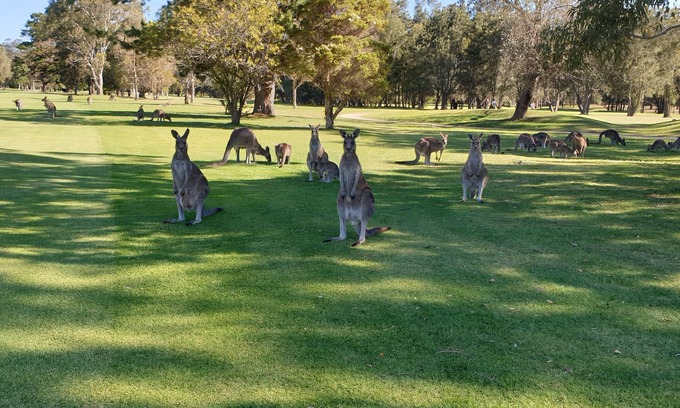 Batemans Bay Casa | BEACH AND GOLF RESORT