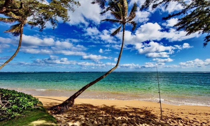 Punaluu Condominio | Beach Front Condo-Everything you can dream of for a Hawaiian getaway is here!