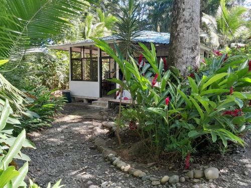 Punta Uva Apartamento | Beachfront Apartment Punta uva