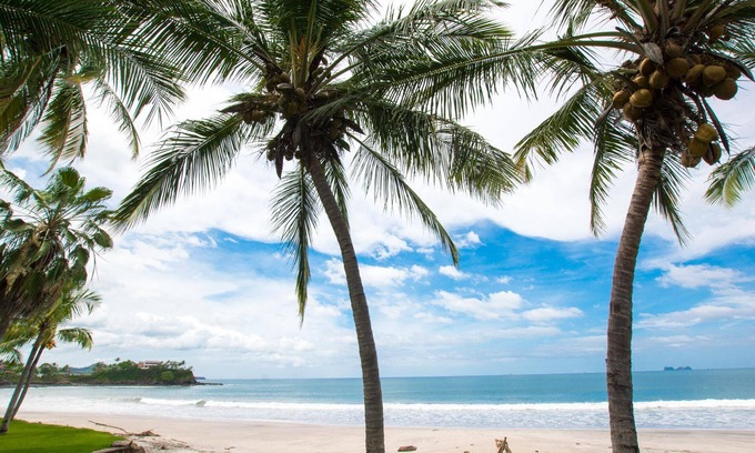 Playa Flamingo Condominio | Beachfront Condo with Warm, Rustic Interiors & Direct Access to Playa Flamingo