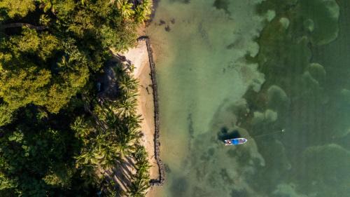 Isla Bastimentos Casa | Beachfront House - Sleeps 2 & Garden Access