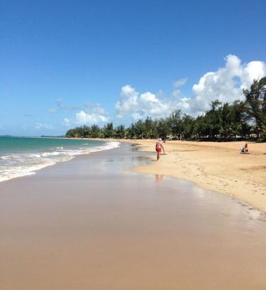 Zarzal Apartamento | Beachfront Paradise