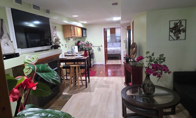 Dupont Circle Apartamento | Beautiful 2-BR Apt Sleeps 5 Fabulous Location Historic Street Family-friendly