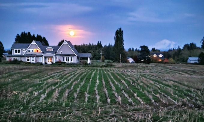 Ferndale Casa | Charming 4-bedroom home with WiFi, AC and Mt. Baker views
