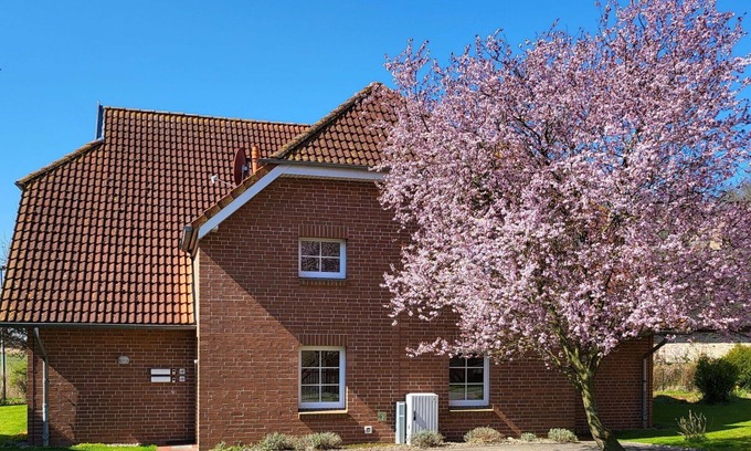 Ummanz Apartamento | Acogedor apartamento para 4 personas con WIFI, TV, balcón y mascotas permitida