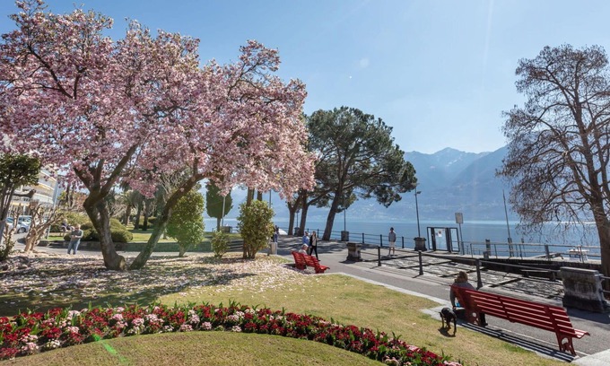 Ascona Apartamento | Beautiful apartment for 4 people with WIFI, TV, balcony, pets allowed and parking