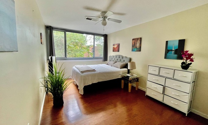 Annandale Condominio | “Beautiful, Cozy & Lot of Natural Light Condo!”