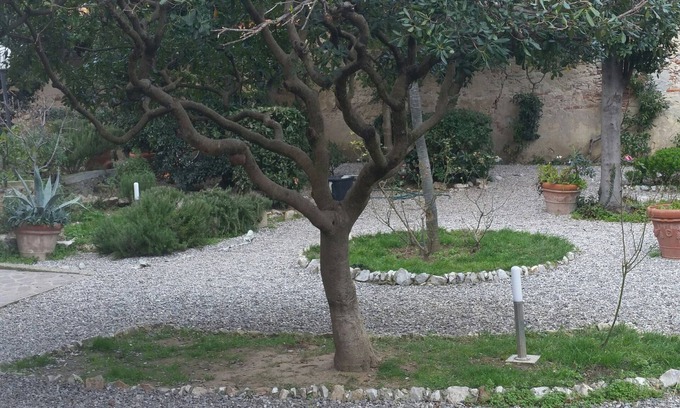 Marina di Pisa Casa | Hermosa casa en Villa Liberty