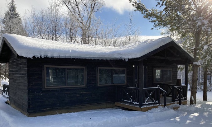 Frazee Cabina | Beautiful Log Cabin in Wooded lot on Little Toad Lake