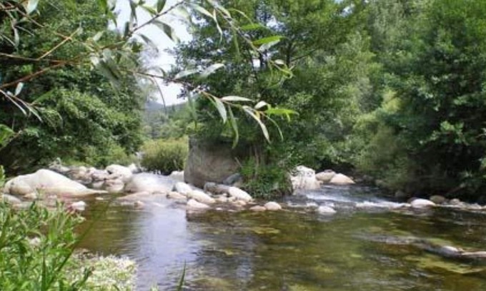 Arles-sur-Tech Casa | Hermosa Restaurada Molino con Piscina y directa río privada Acceso