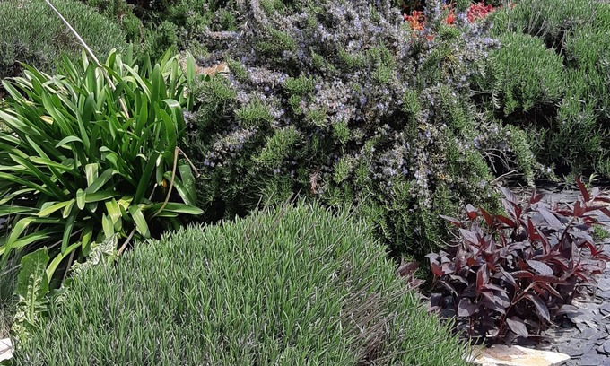 Miniac-Morvan Casa | Alojamiento y desayuno en el habitante.