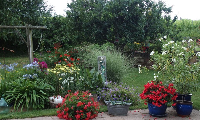Chatenois Casa | La maison au calme - Bed and Breakfast en Chatenois - alsacia central