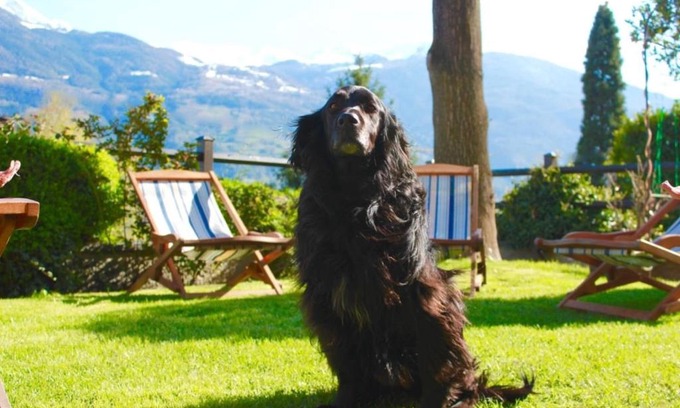 Aosta Casa | Bed & Breakfast Chez Berry
