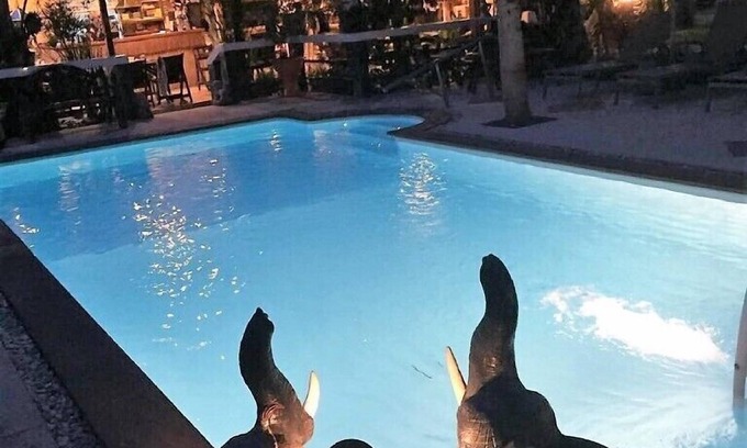 Bophut Hotel | Bee Nat Garden Resort