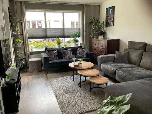 Middenbeemster Casa | Beemster Experience