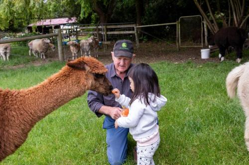 Scotts Creek Casa | Bellevue Farmstay