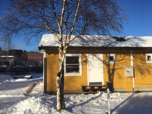 Asane Otro | Bergen Camping Park