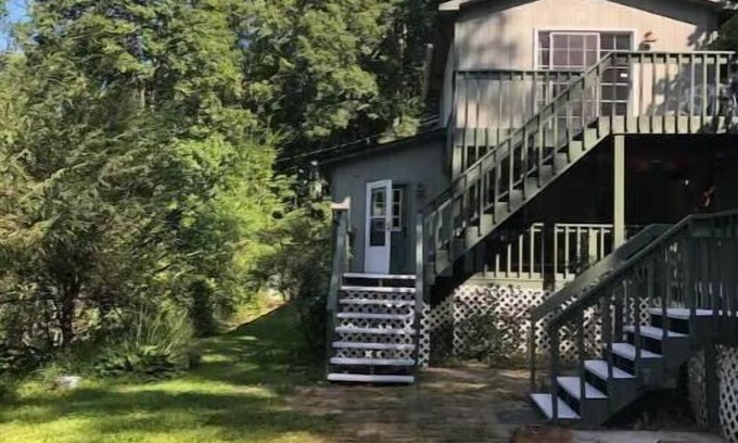 Swannanoa Casa | Best of both worlds! Surrounded by nature and still close to town, pet-friendly