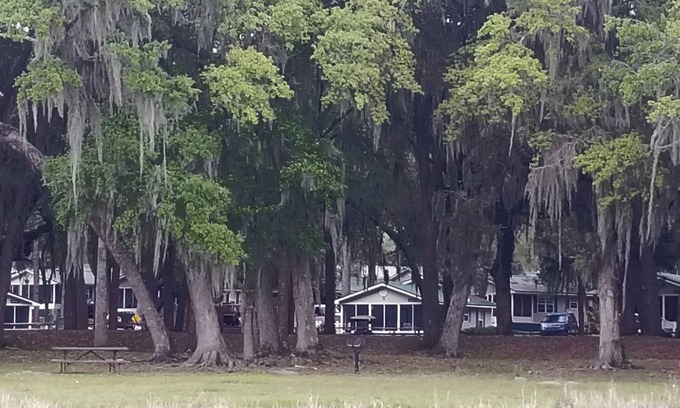 Salt Springs Cabina | Best view cottage at Salt Springs Resort